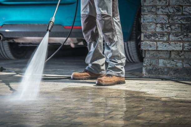 Best Boat and Dock Cleaning  in Agua Dulce, TX