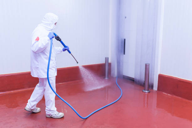 Best Graffiti Removal  in Agua Dulce, TX