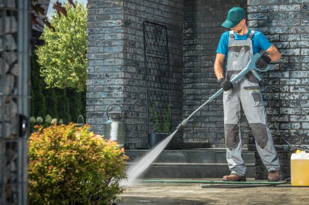 Best Spring Cleaning  in Agua Dulce, TX
