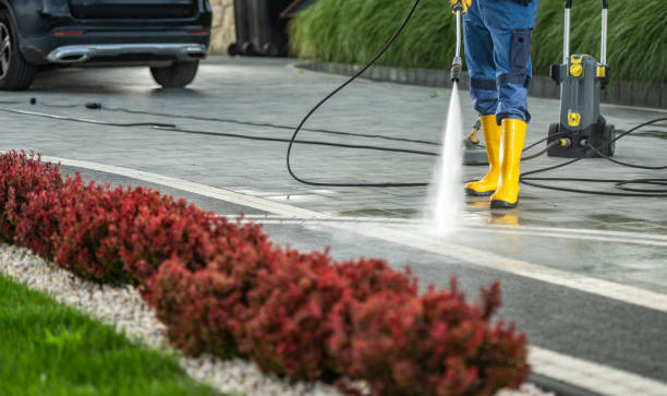 Best Dumpster Area Cleaning  in Agua Dulce, TX